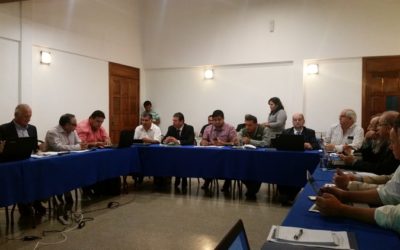 XXII REUNIÓN DE LA COMISIÓN DE SALUD ANIMAL DEL CVP