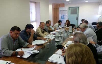 REUNIÓN DEL GRUPO AD HOC DE FIEBRE AFTOSA DEL CVP