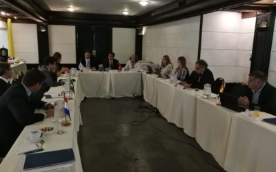 I REUNIÓN, I ORDINARIA DEL CVP, EJERCICIO 2019