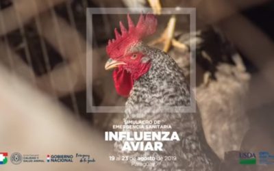 SIMULACRO INFLUENZA AVIAR SENACSA-PARAGUAY