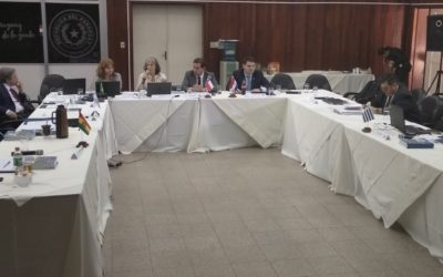 IV REUNIÓN, IV ORDINARIA CVP, CIERRE DE EJERCICIO 2019