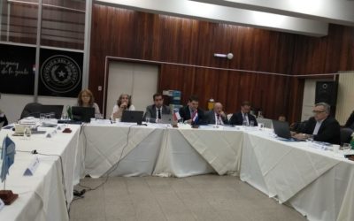 REUNIÓN CONJUNTA CVP-CSA