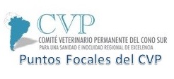 REUNIÓN PUNTOS FOCALES DEL CVP