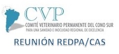 PARTICIPACIÓN CVP: REUNIÓN REDPA/CAS