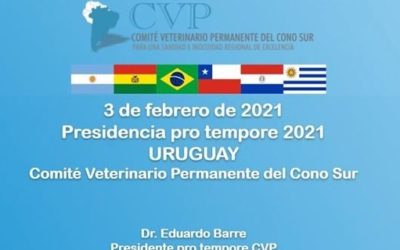 URUGUAY TOMA LA PRESIDENCIA DEL CVP