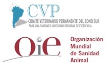 REUNIÓN COORDINACIÓN CVP-OIE