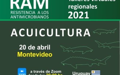 RESISTENCIA ANTIMICROBIANA: problema mundial “Una sola salud”