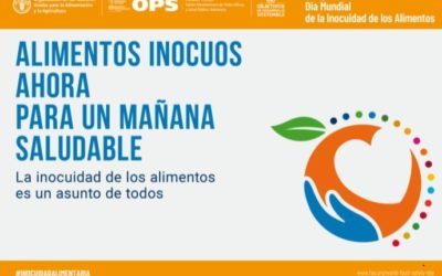 DÍA MUNDIAL DE LA INOCUIDAD DE LOS ALIMENTOS