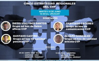 4° VIDEOCONFERENCIA CVP