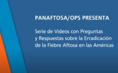 PANAFTOSA/OPS: VIDEOS CON PREGUNTAS Y RESPUESTAS ERRADICACIÓN F.A.