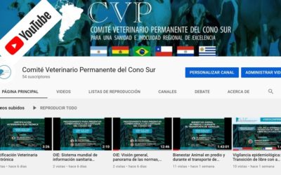 CANAL YOUTUBE DEL CVP