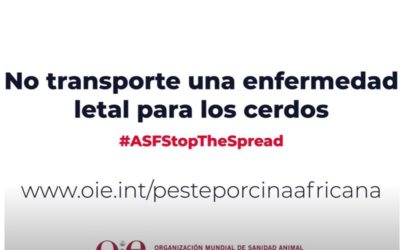 PREVENCIÓN PPA EN VIAJEROS