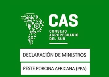 DECLARACIÓN MINISTROS DEL CAS POR PPA