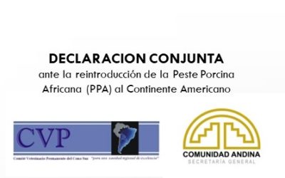 DECLARACIÓN CONJUNTA CVP-CAN POR PPA