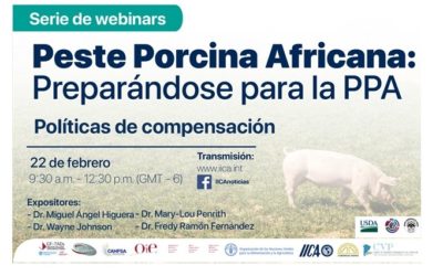 WEBINAR: POLÍTICAS DE COMPENSACIÓN EN PPA