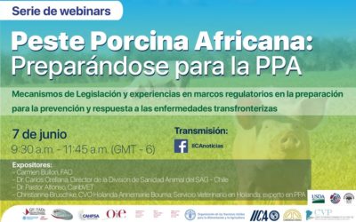 WEBINAR PREPARÁNDOSE PARA LA PPA