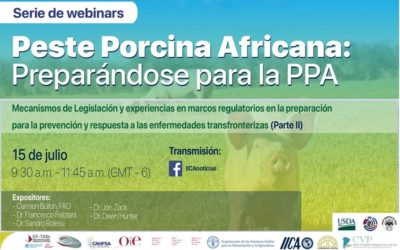 WEBINAR PREPARÁNDOSE PARA LA PPA