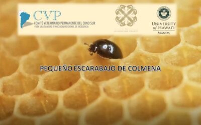 CAPACITACIÓN SOBRE PEQUEÑO ESCARABAJO DE COLMENA (PEC)