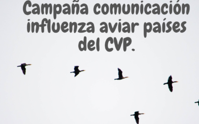 CAMPAÑA COMUNICACIÓN EN INFLUENZA AVIAR