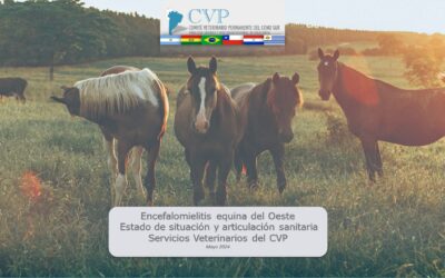 REUNIÓN INFORMATIVA: EEO EN LA REGIÓN DEL CVP