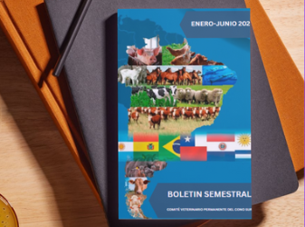 BOLETIN SEMESTRAL ENERO-JUNIO 2024